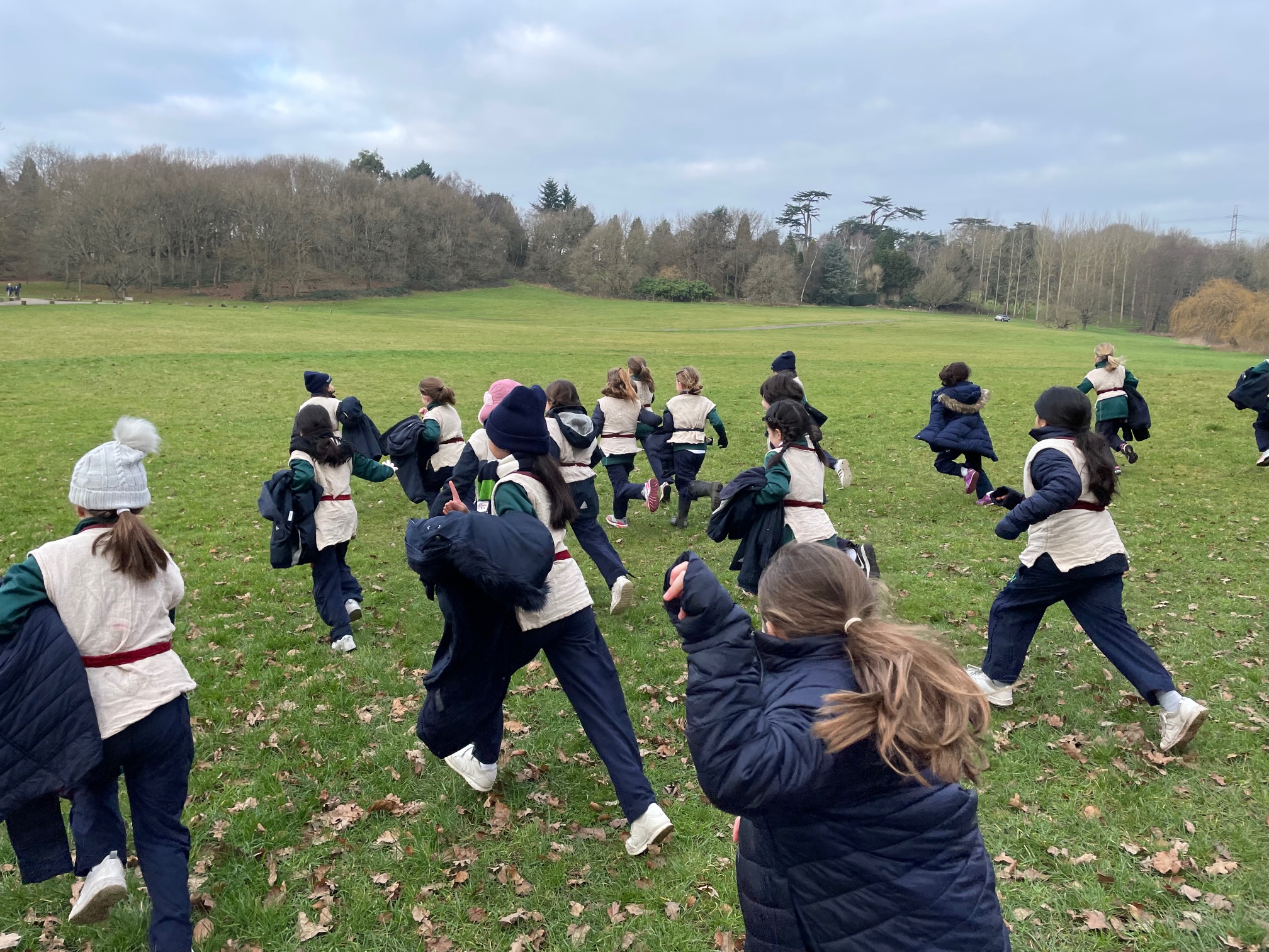 Y3 Painshill Park WHS 